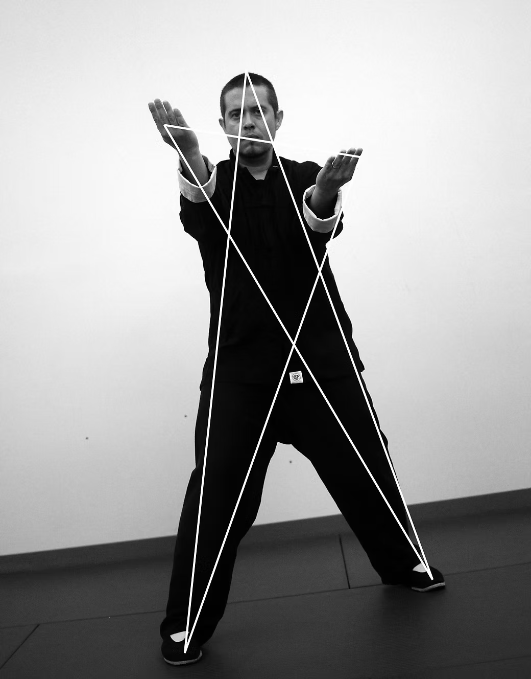 Southern Mantis: Mantis Hands | Volume 2 Part 2 (DVD)