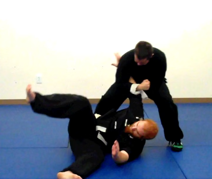 Southern Mantis: Fundamentals | Volume 1 (Book)