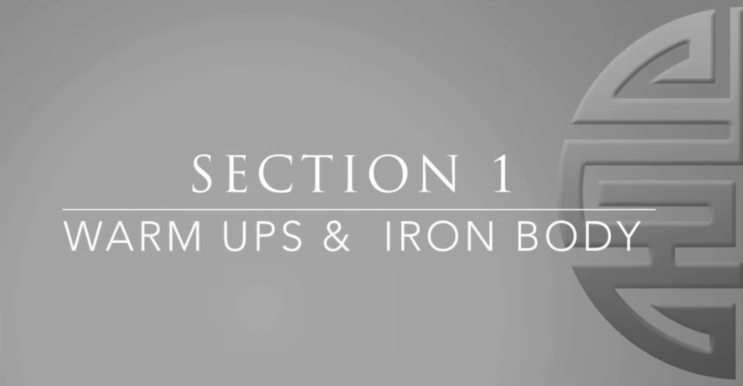 Ring Training Volume 1 | DVD