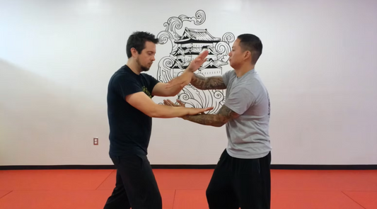 Ring Training Volume 2 | DVD