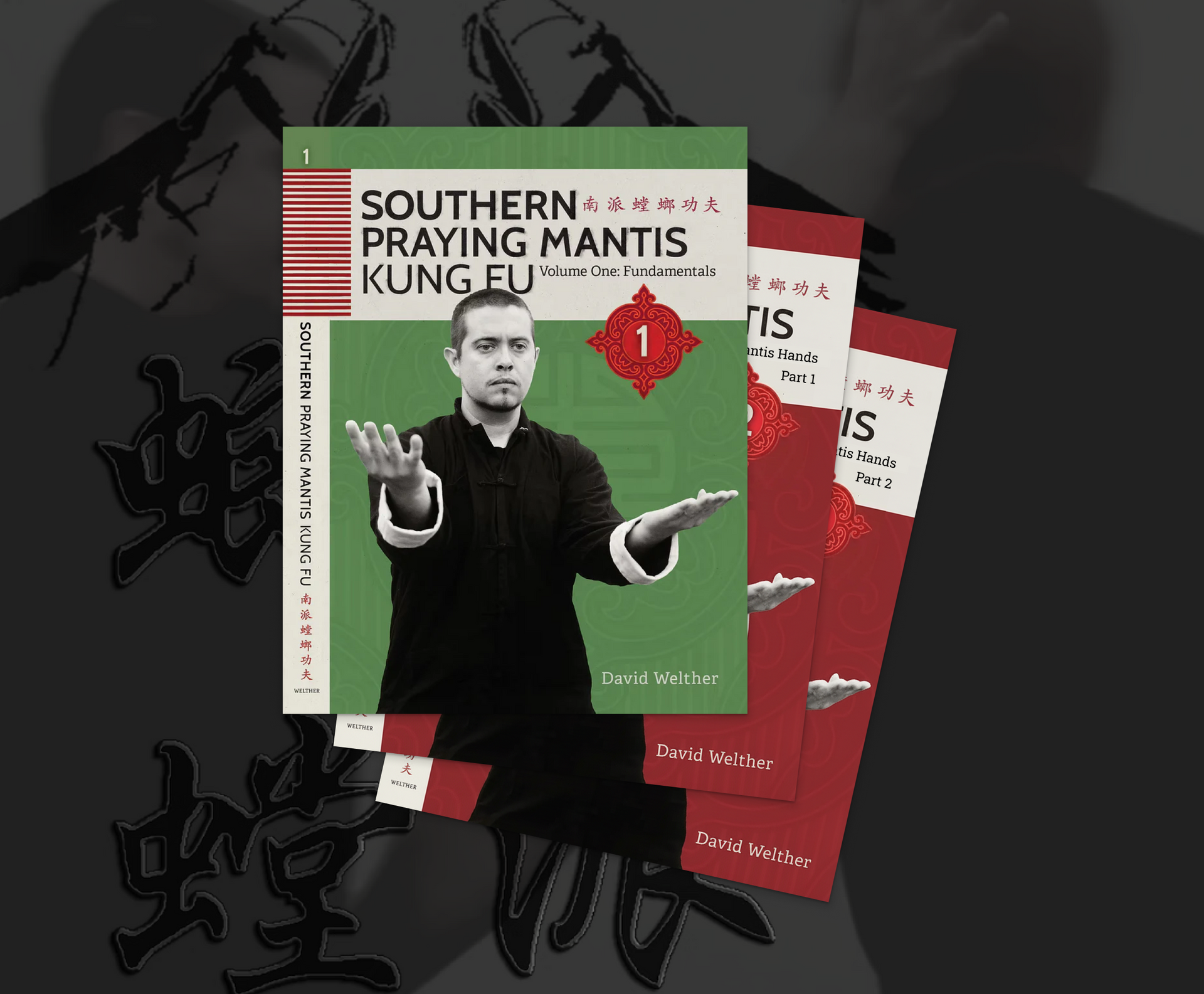 DVDs | Southern Mantis – Rattan Ring Training