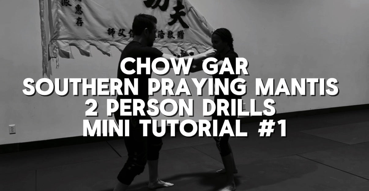 Southern Praying Mantis 2 Person Drills Mini Tutorial #1