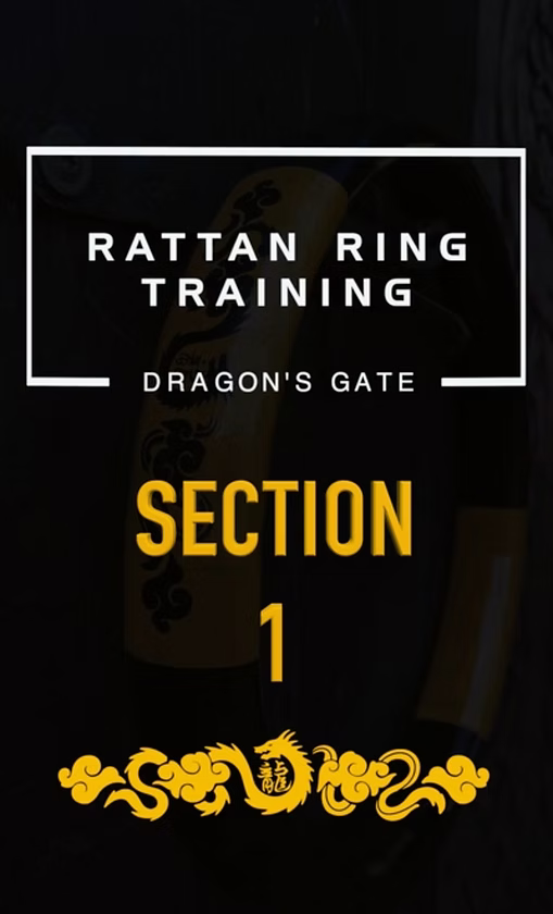 Special Edition: Dragon's Gate Shadow Boxing Flow