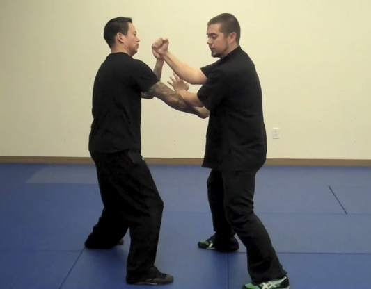 Southern Mantis: Mantis Hands | Volume 2 Part 1 (DVD)