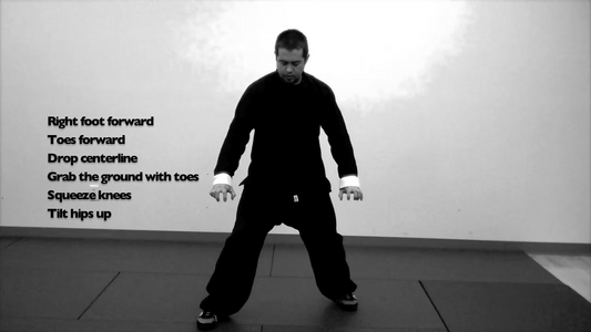 Southern Mantis: Fundamentals | Volume 1 (DVD)