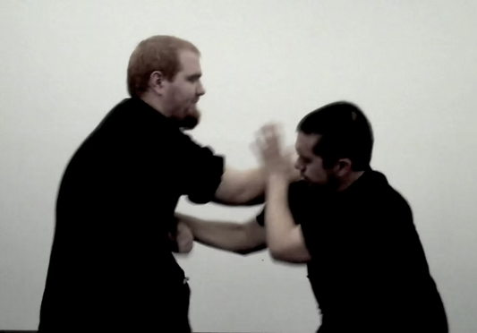 Southern Mantis: Mantis Hands | Volume 2 Part 2 (DVD)