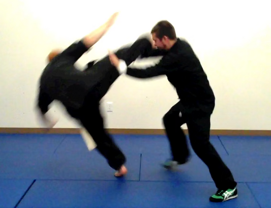 Southern Mantis: Fundamentals | Volume 1 (Book)