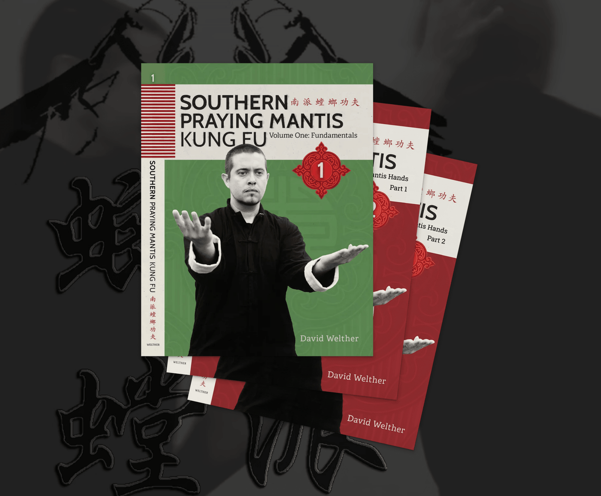 Southern Mantis DVD Bundle - Rattan Ring Training