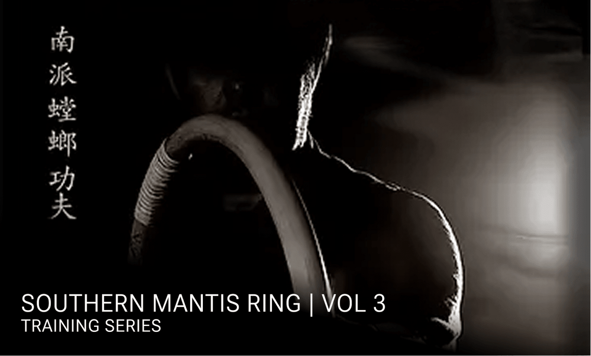 Southern Mantis Ring: Volume 3 | Tutorial - Rattan Ring Training