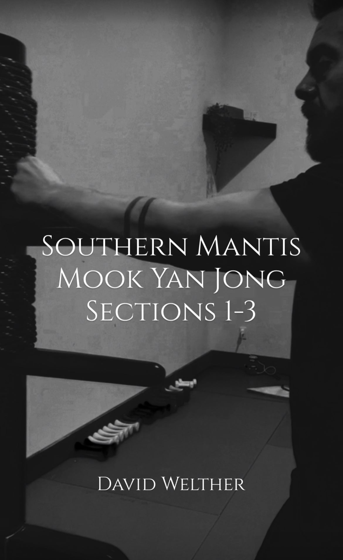 Southern Mantis Wooden Dummy 1-3 - Rattan Ring Training
