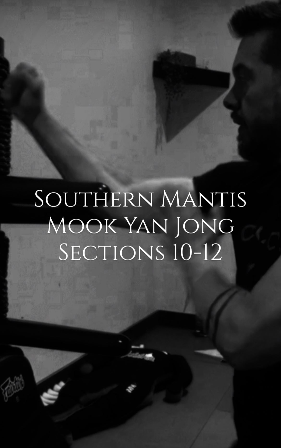 Southern Mantis Wooden Dummy Sections 10-12 - Rattan Ring Training