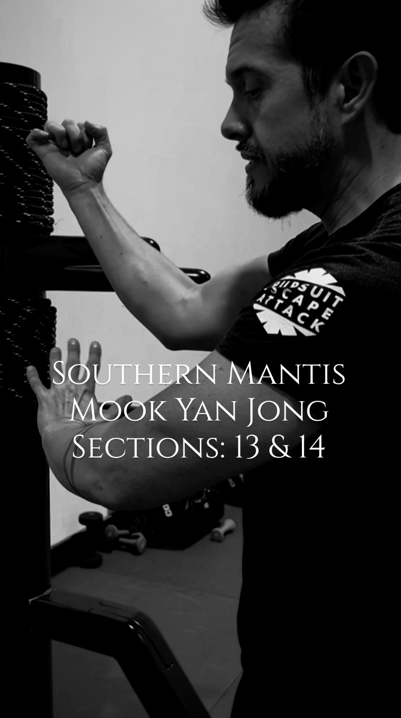 Southern Mantis Wooden Dummy Sections 13-14 - Rattan Ring Training