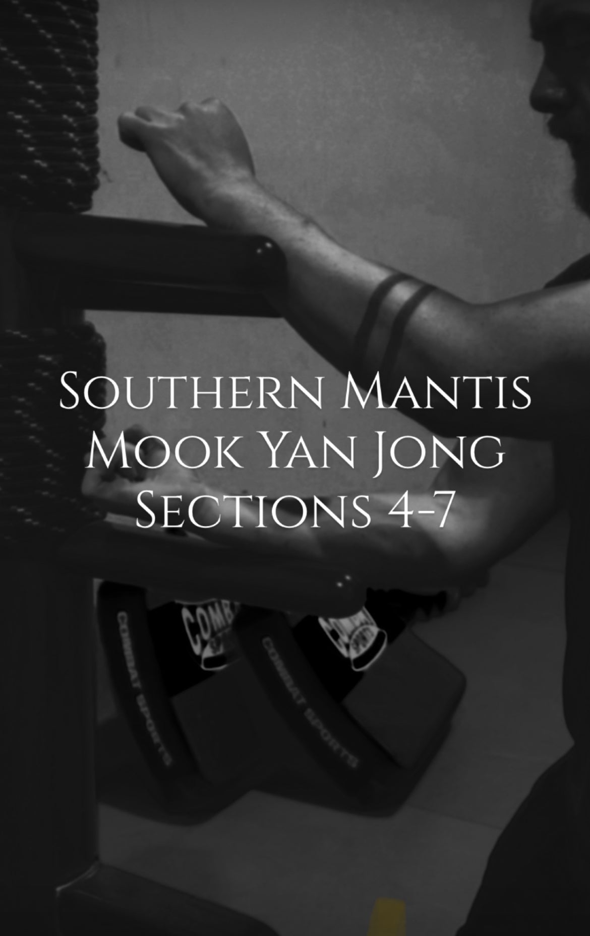 Southern Mantis Wooden Dummy Sections 4-7 - Rattan Ring Training