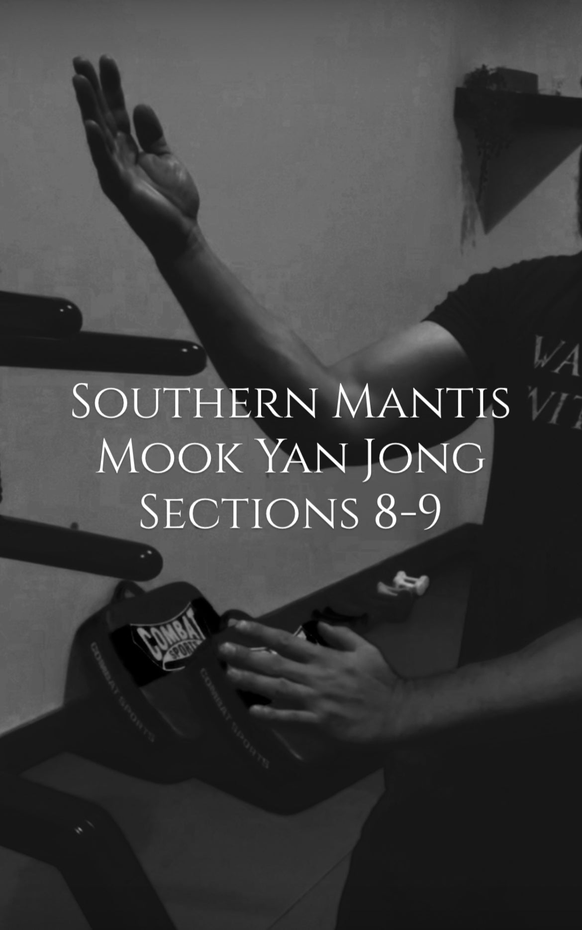 Southern Mantis Wooden Dummy Sections 8-9 - Rattan Ring Training