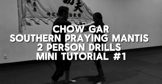 Southern Praying Mantis 2 Person Drills Mini Tutorial #1 - Rattan Ring Training